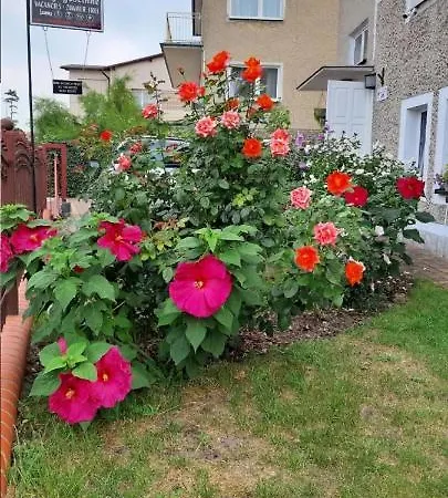 Goscinne Gasowscy Dzieci Od 12 Roku Zycia *